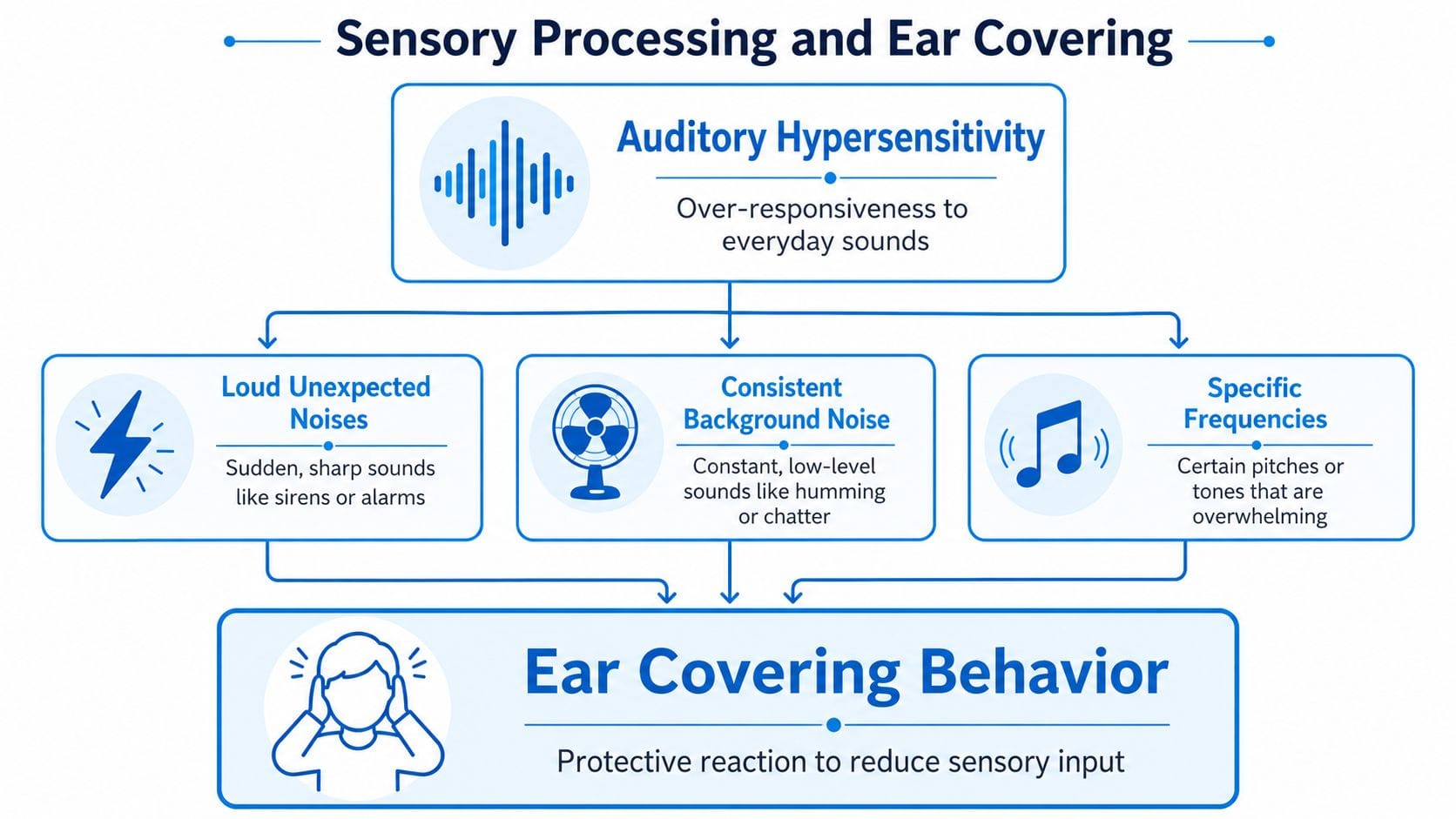 A flowchart explaining sensory processing, auditory hypersensitivity, and the behavior of covering ears due to loud noises.
