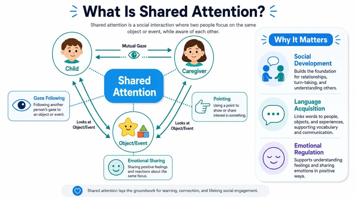 An educational infographic explaining the concept of shared attention between a child and caregiver in social development.