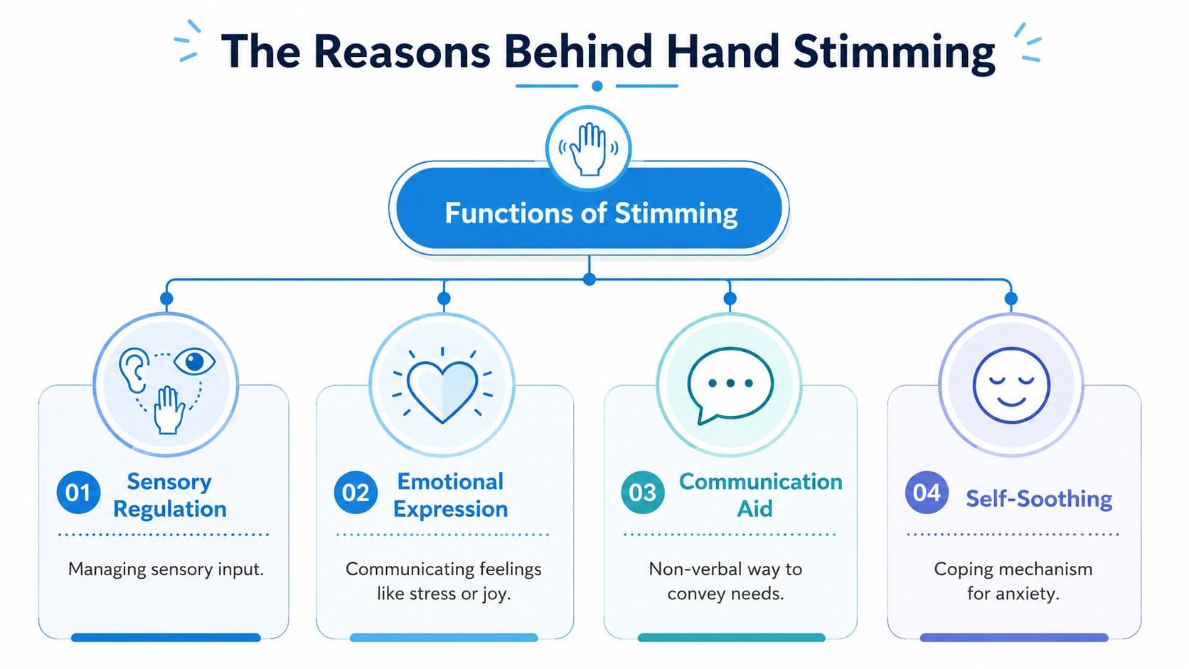 A diagram illustrating the four primary functions of hand stimming, including sensory regulation, emotional expression, communication, and self-soothing.