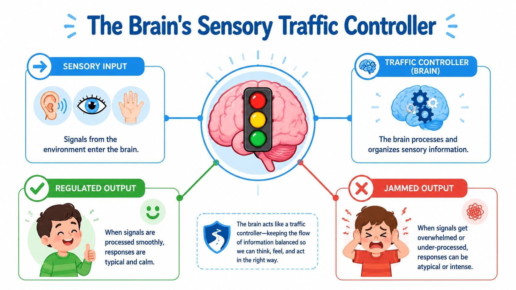 A diagram explaining sensory regulation in the brain using a traffic light analogy for processing information.
