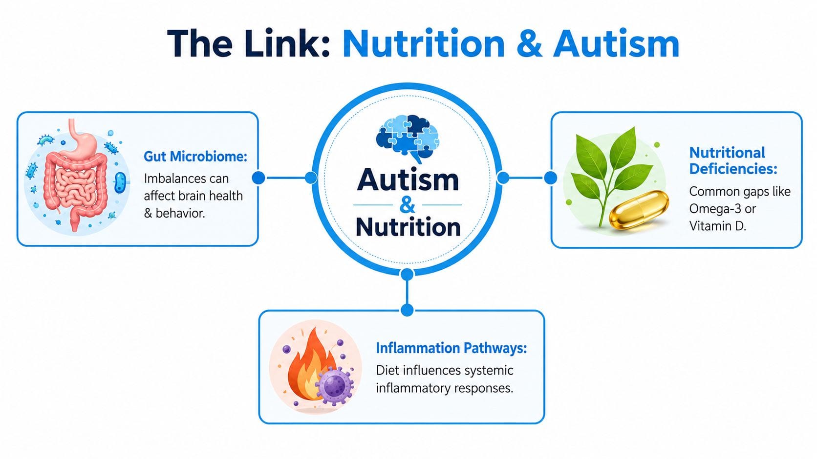 A diagram illustrating the connection between nutrition, gut health, and autism through three core biological factors.