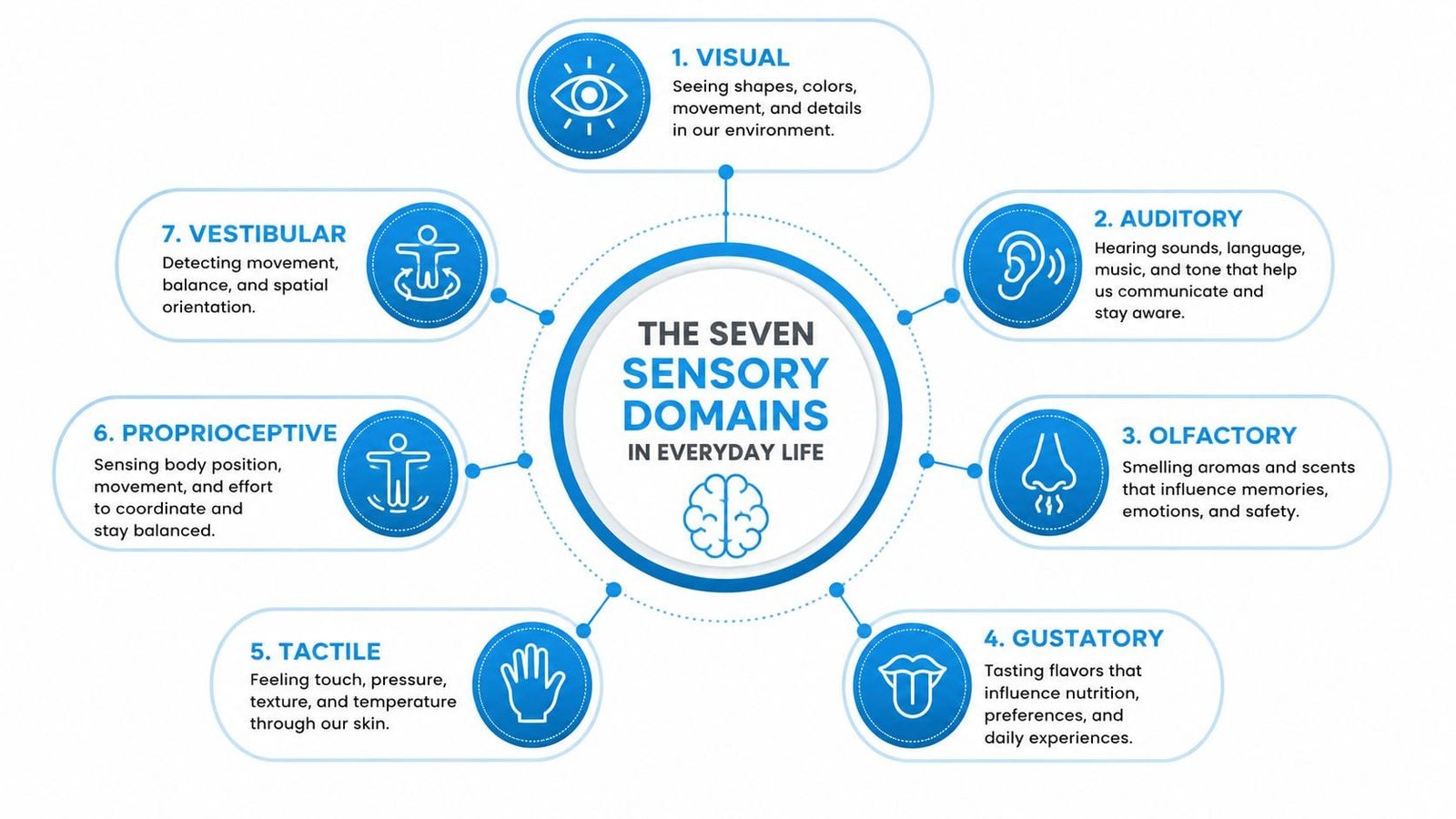 A diagram illustrating the seven sensory domains in everyday life including visual, auditory, olfactory, gustatory, tactile, proprioceptive, and vestibular.