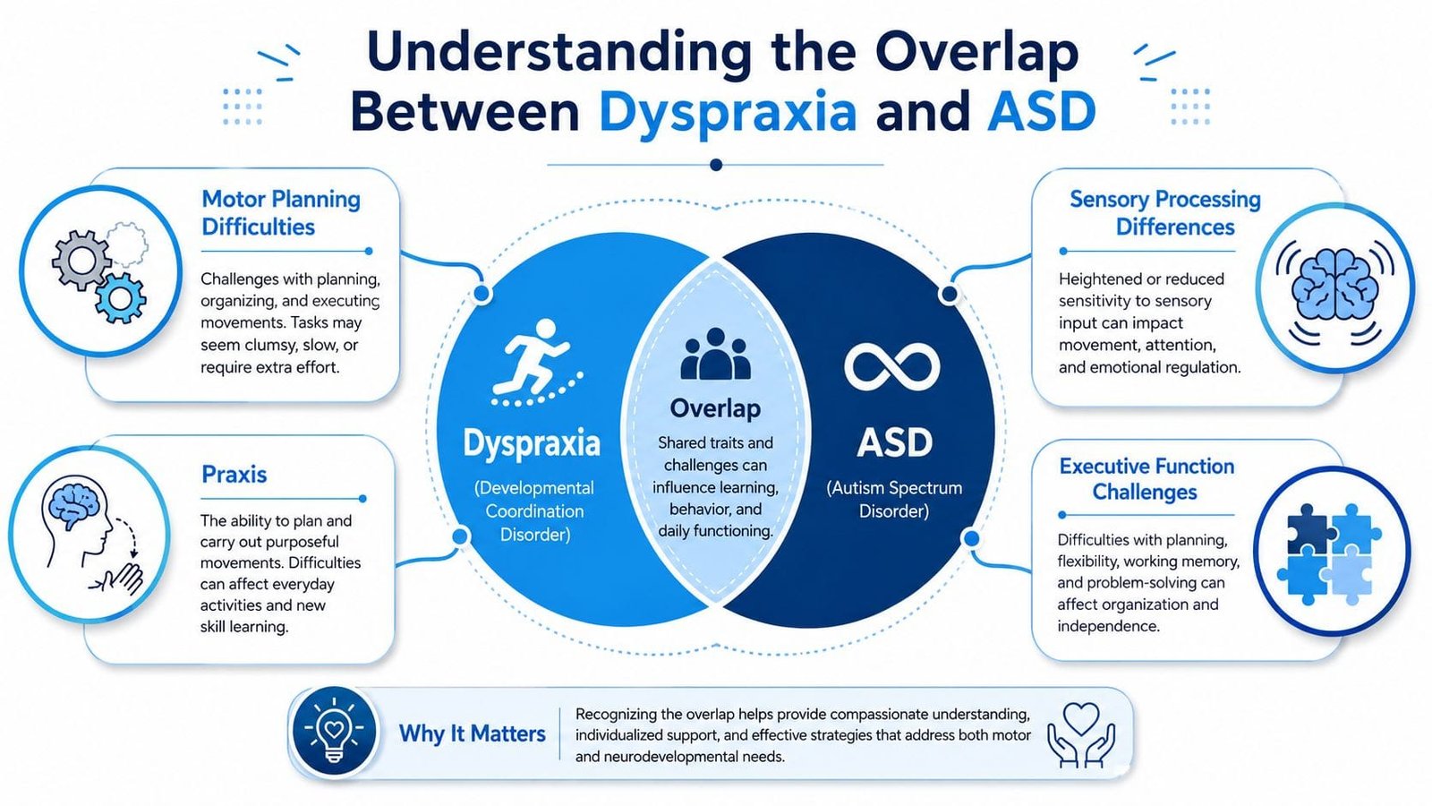 A diagram illustrating the intersection of Dyspraxia and Autism Spectrum Disorder through common motor and functional challenges.