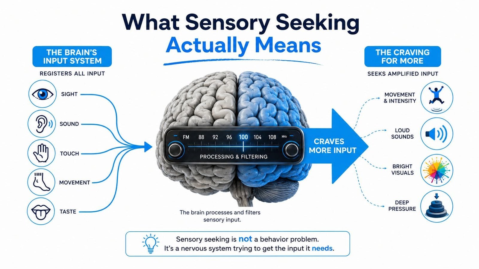A diagram explaining sensory seeking as a nervous system need, using a brain radio tuner analogy.