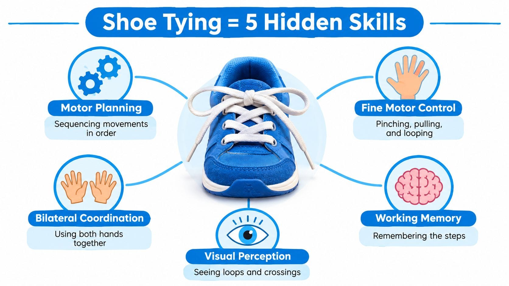 An infographic detailing five developmental skills required for children to learn how to tie their shoelaces.