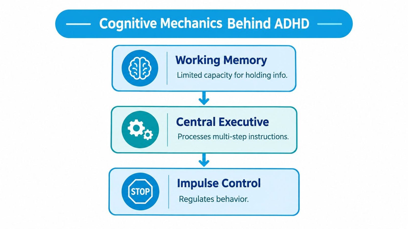 A diagram illustrating the three cognitive mechanisms involved in ADHD: working memory, central executive, and impulse control.