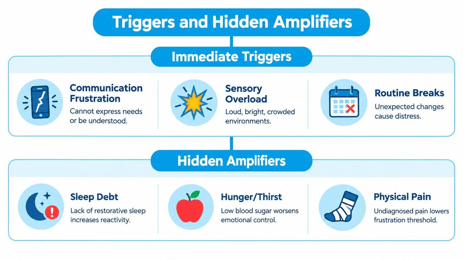 An infographic titled Triggers and Hidden Amplifiers listing common causes for outbursts such as communication issues and pain.