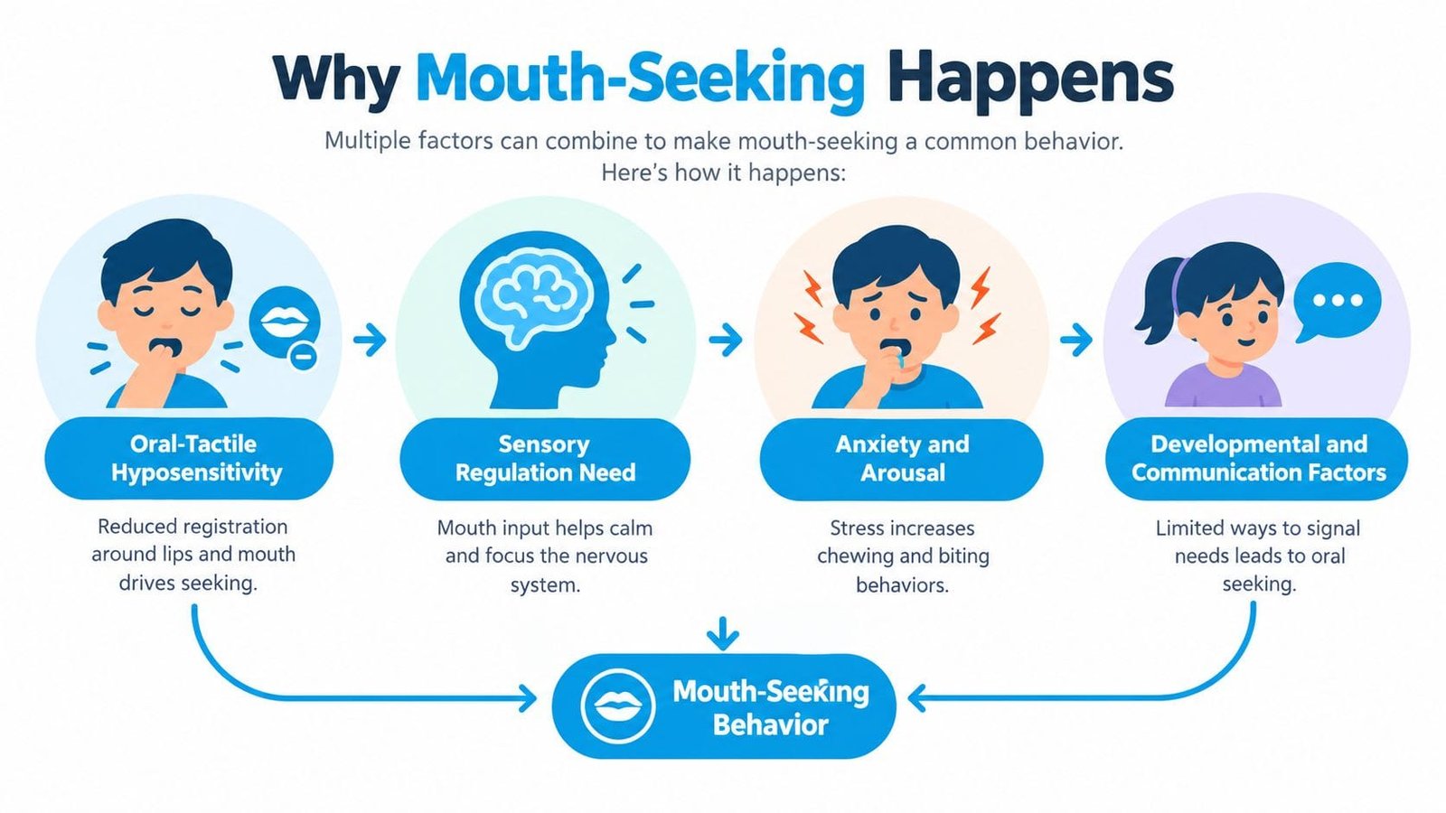 An infographic explaining the four main developmental and sensory reasons why children engage in mouth-seeking behaviors.
