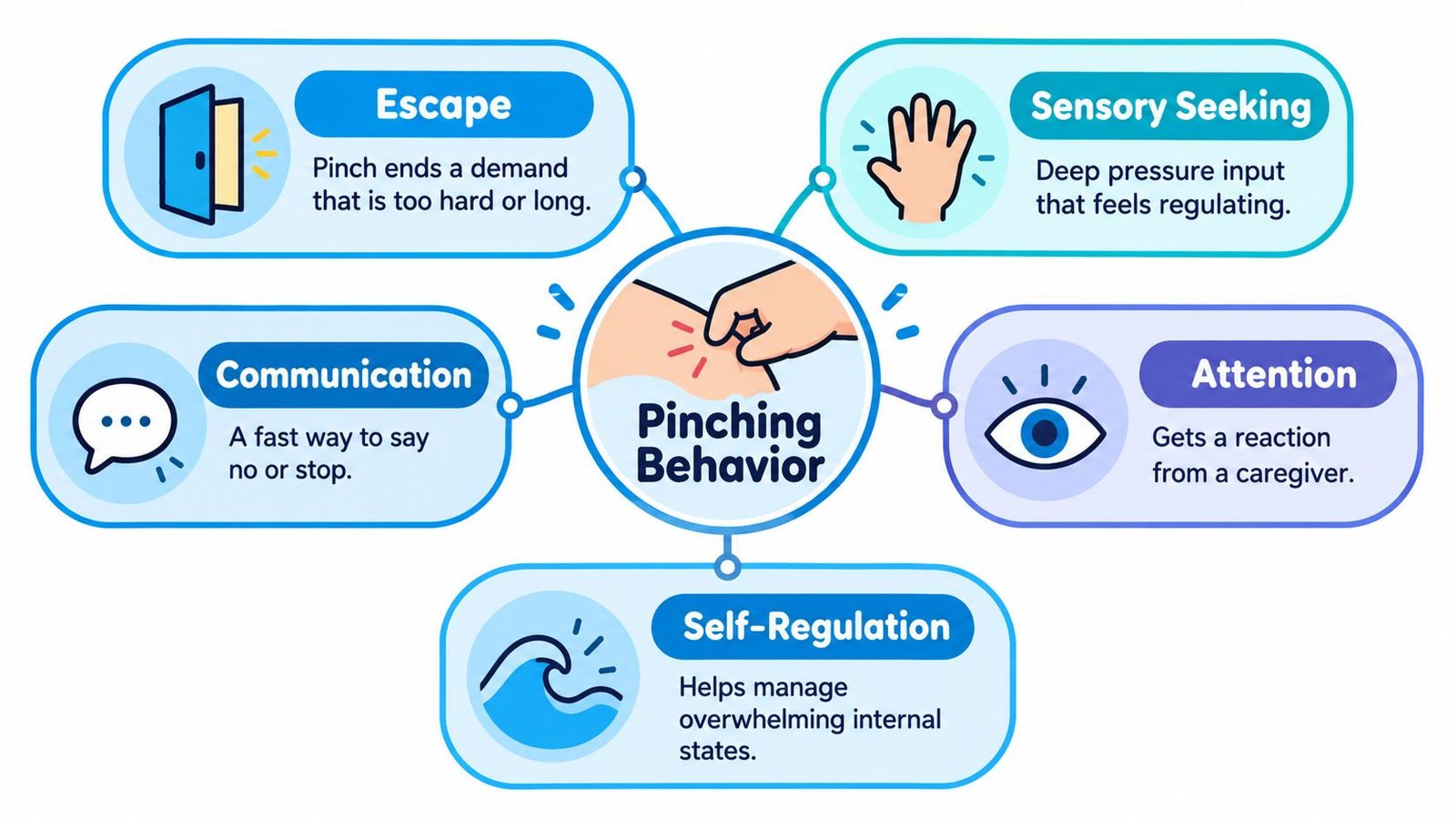 A diagram explaining five common reasons for pinching behavior, including sensory seeking, escape, communication, attention, and self-regulation.